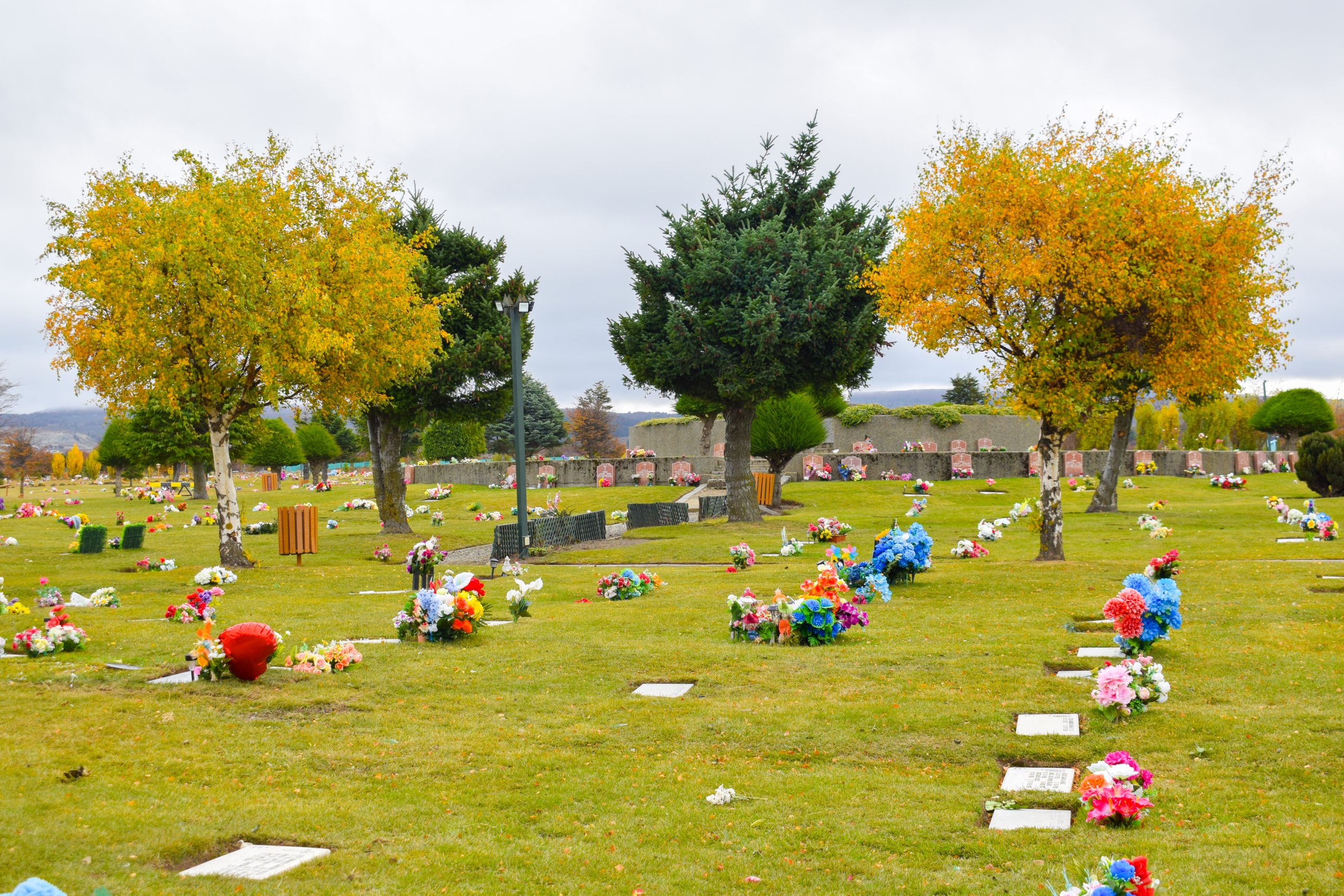 Cementerio_cruzdefroward-399